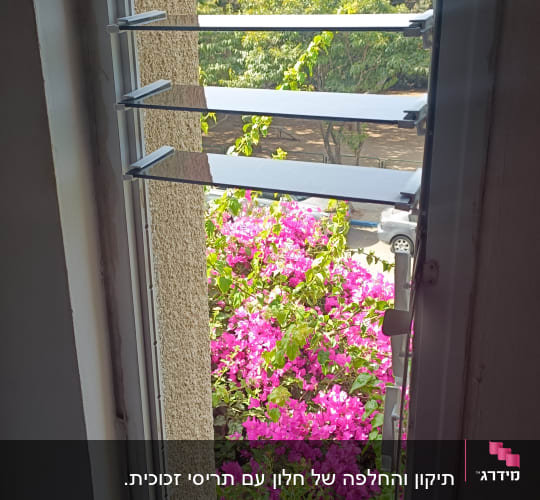 תריסי זכוכית בחלון פתוח עם נוף פרחים